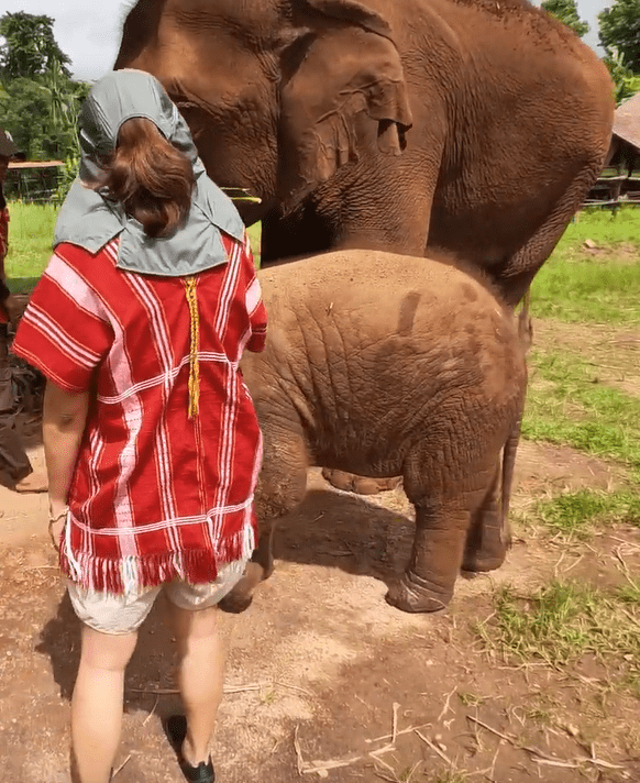 🐘 A Must Do?: Our Elephant Sanctuary Experience in Chiang Mai, Thailand