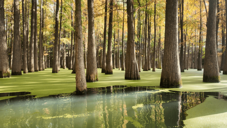 Hangzhou in 2 Days: West Lake, Qingshan Green Lake, & Our Honest Take