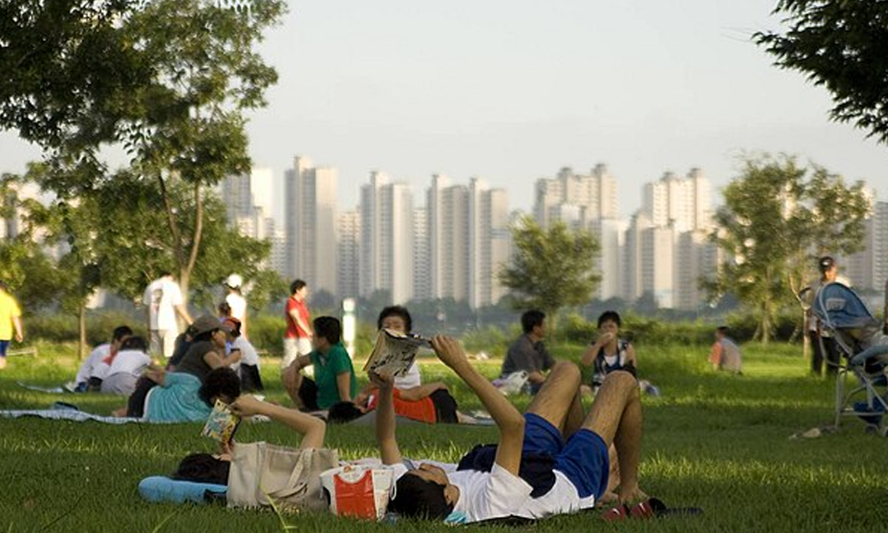 Han River Seoul picnic dotjari mat chicken delivery swan boat buskers Seoul Korea travel