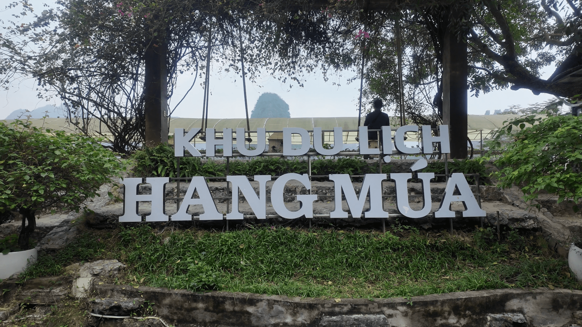 Hang Mua Peak panoramic view rice fields river 2 days in Ninh Binh