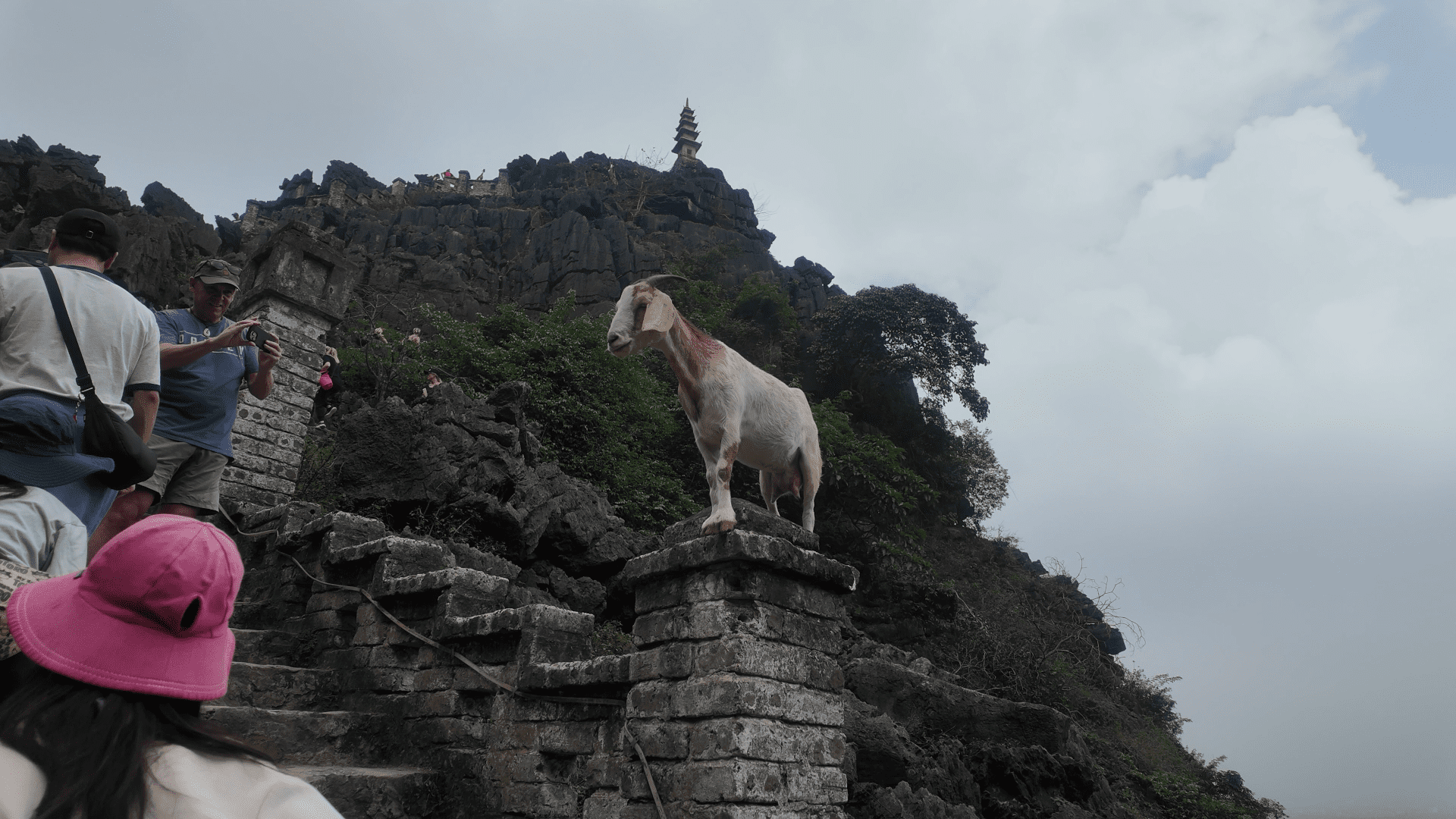 Hang Mua Peak limestone karst mountains Ninh Binh Vietnam itinerary