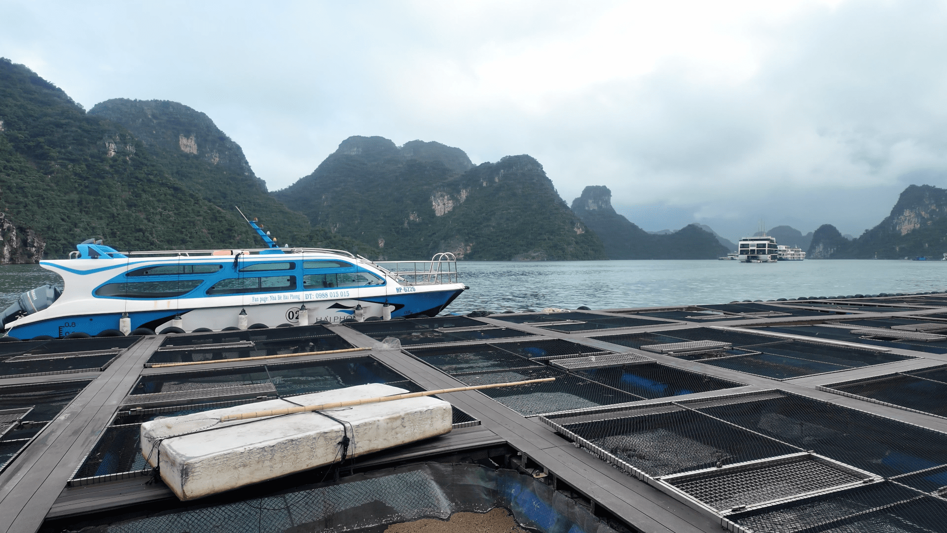 Fish farm morning excursion Lan Ha Bay cruise Vietnam